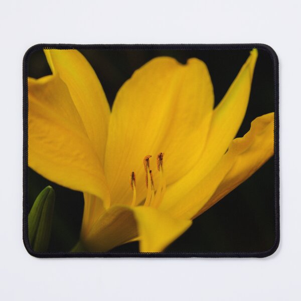 Item preview, SURRENDER designed and sold by Michelle Lee Blatt.