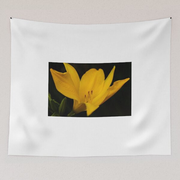 Item preview, SURRENDER designed and sold by Michelle Lee Blatt.