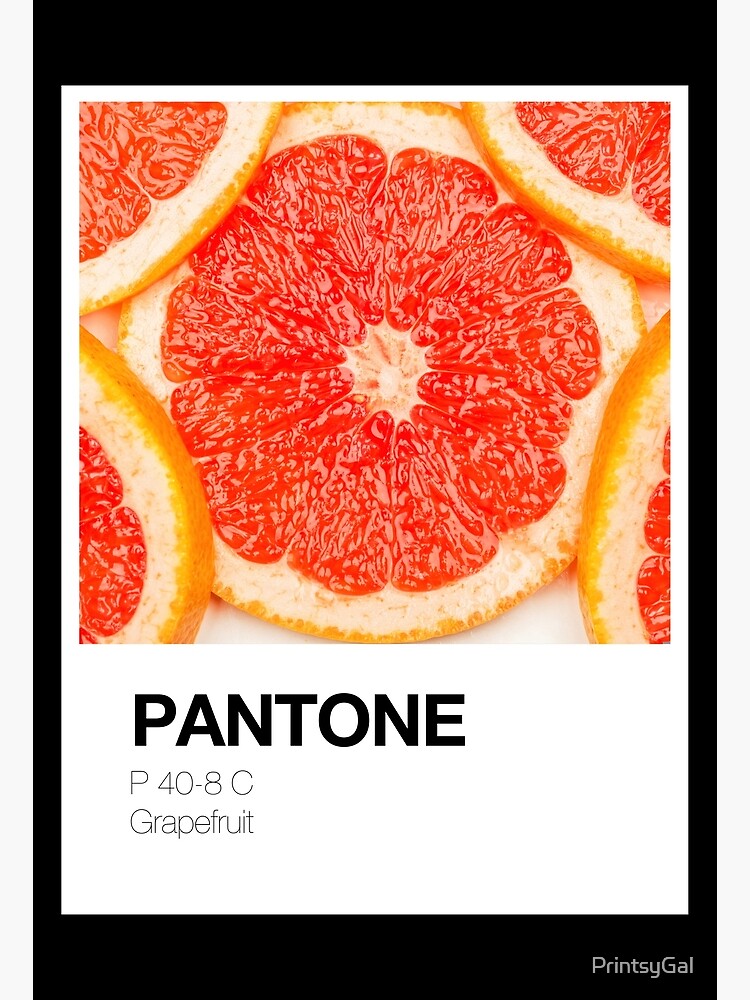 "Pantone color swatch red grapefruit" Poster for Sale by PrintsyGal