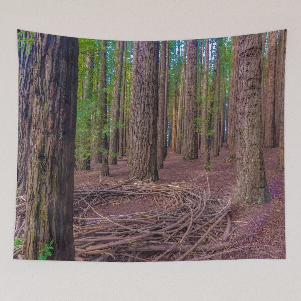Item preview, Peaceful Redwood forest view designed and sold by ilovethenight.