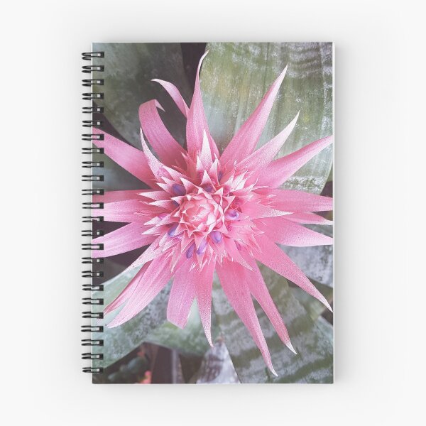 Item preview, Pink and Purple Bromeliad designed and sold by NeonPink.
