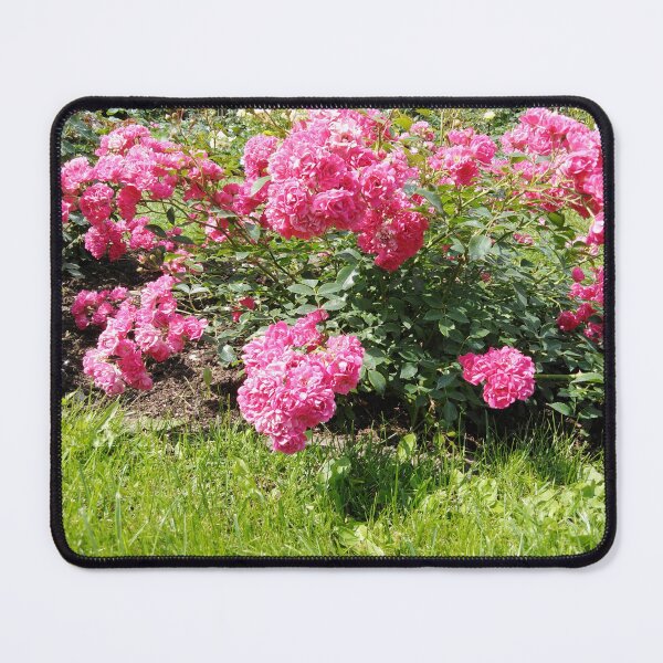 Item preview, Love is always associated with roses designed and sold by Raigitam.