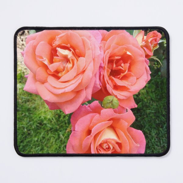 Item preview, Orange rose is like endless love designed and sold by Raigitam.