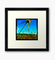 Wetlands Framed Print