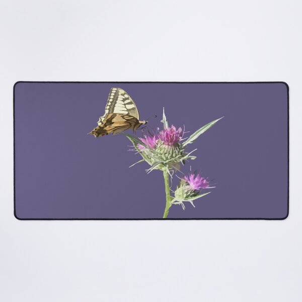 Item preview, Scarce Swallowtail Butterfly Resting On Thistle Flower designed and sold by taiche.
