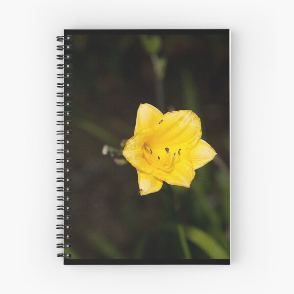 Item preview, Little Ants on Yellow Flower designed and sold by Danielle Masucci.