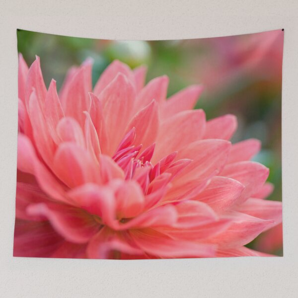 Item preview, A pretty pink Dahlia flower in full bloom designed and sold by CyaniRose.
