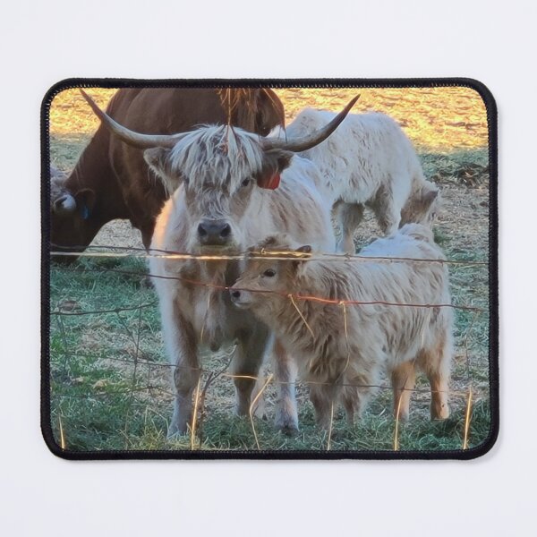 Item preview, "Mom who is that?" designed and sold by cscott1128.