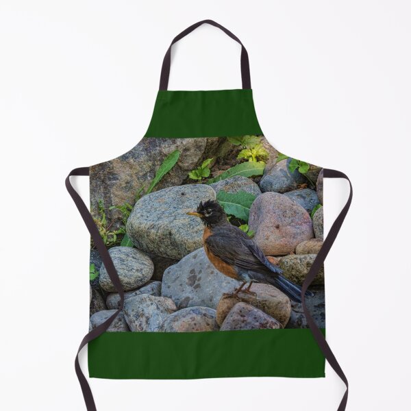 Item preview, Robin Drying Off in the Sun After Bathing designed and sold by Gerda Grice Photography.