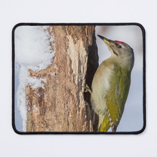 Item preview, Grey-Headed Woodpecker designed and sold by Dominika Aniola.