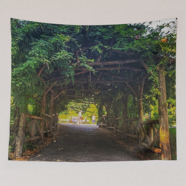 Item preview, Nature Central Park Manhattan New York City  designed and sold by eleonoraingrid.