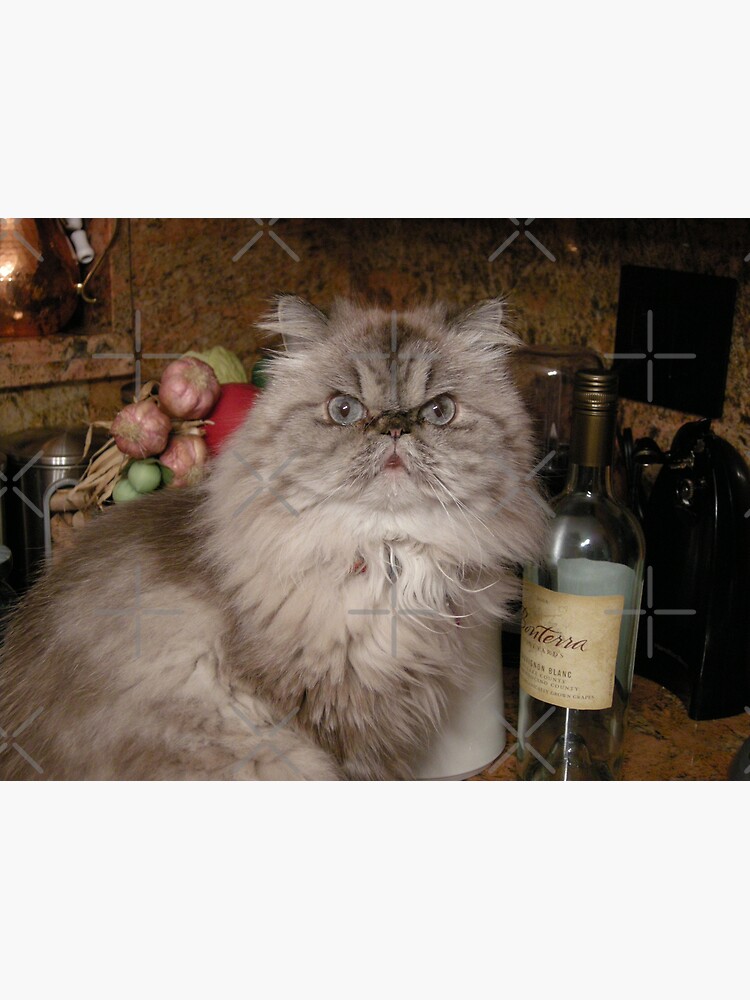 Sauvignon's Gone by photorolandi