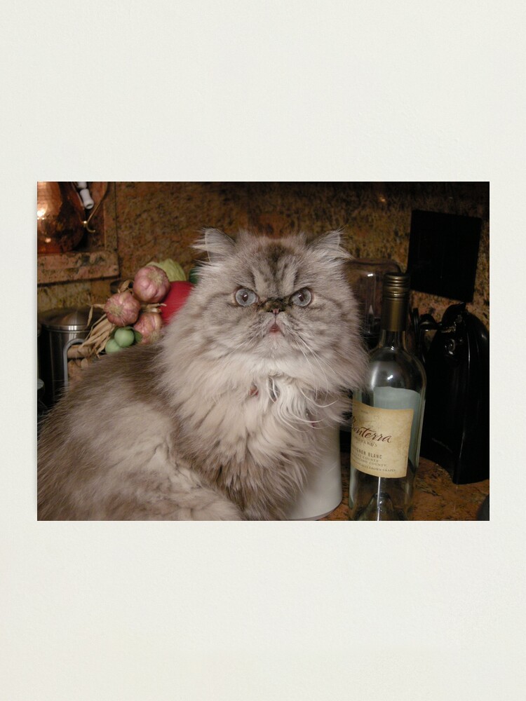 Alternate view of Sauvignon's Gone Photographic Print