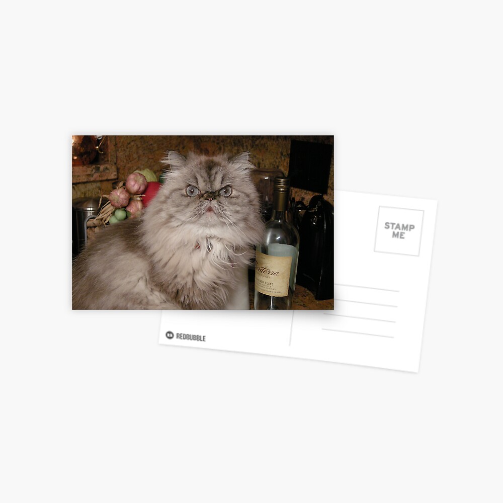 Sauvignon's Gone Postcard