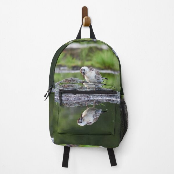 Item preview, Mirroring the youth. Black-headed gull designed and sold by Jouko Lehto Photography.