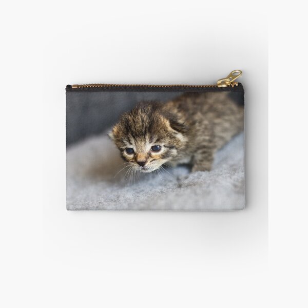Item preview, tiny tabby designed and sold by GreyFeatherPhot.