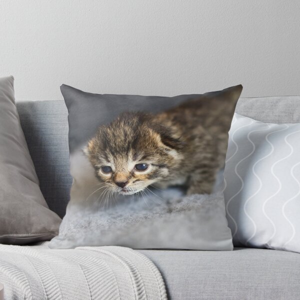 Item preview, tiny tabby designed and sold by GreyFeatherPhot.