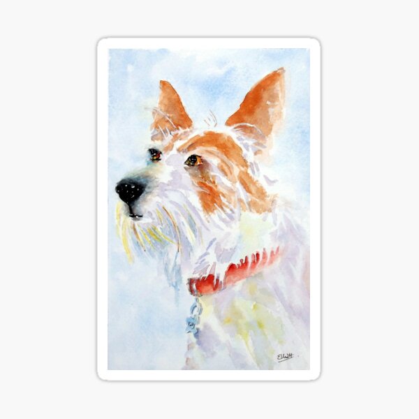 Paddy the jack russell terrier Sticker