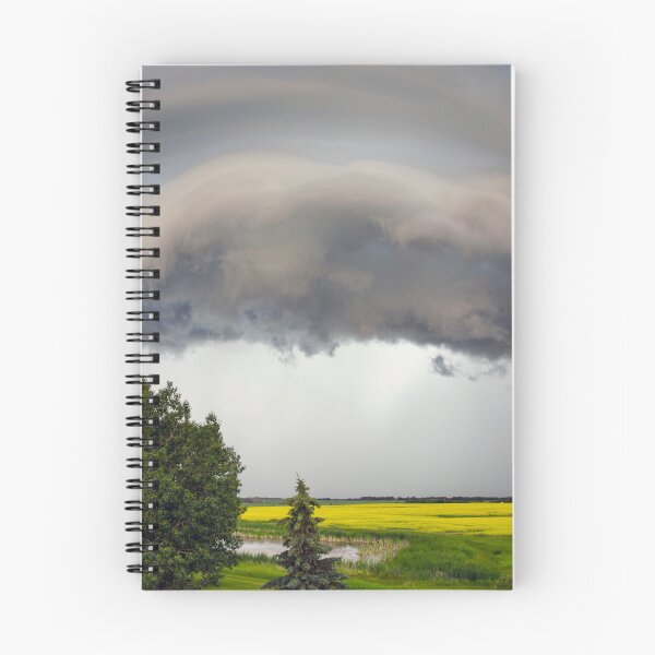 Item preview, Storm Front designed and sold by Don Arsenault.