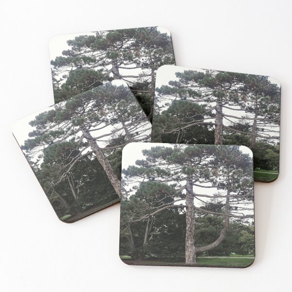 Item preview, Pond Pine Tree design designed and sold by marvacousins246.