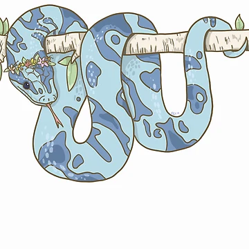 Artwork thumbnail, Pretty Python by Claire Doodles