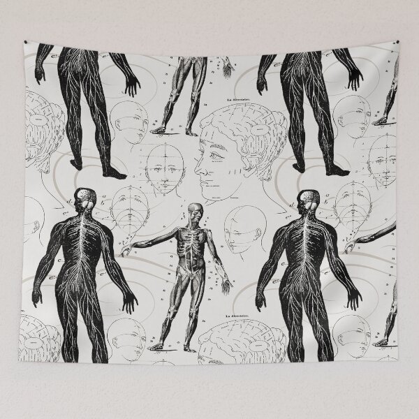 Item preview, La Directrice Antique Anatomy designed and sold by AntiqueImages.