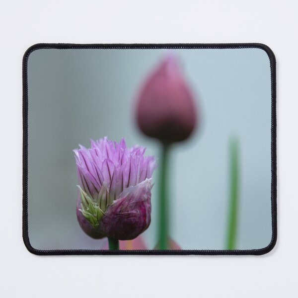 Item preview, Garlic Chive Blossom designed and sold by LizAlbroPhotos.