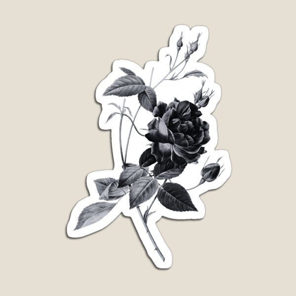 Item preview, Flor de rosa de Bengala roja sangre, Ilustración alternativa - Rosa gris y negra designed and sold by DaphneKstudio .