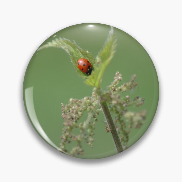 Item preview, The ladybird  designed and sold by chrisshalom.