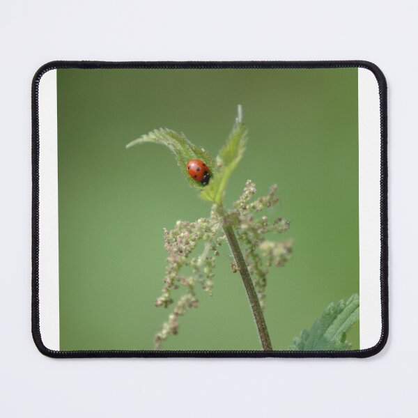 Item preview, The ladybird designed and sold by chrisshalom.