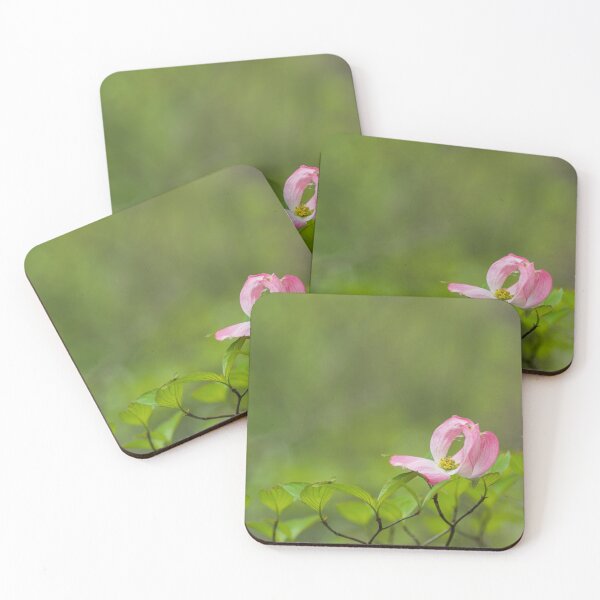 Item preview, Dogwood Embrace designed and sold by LizAlbroPhotos.