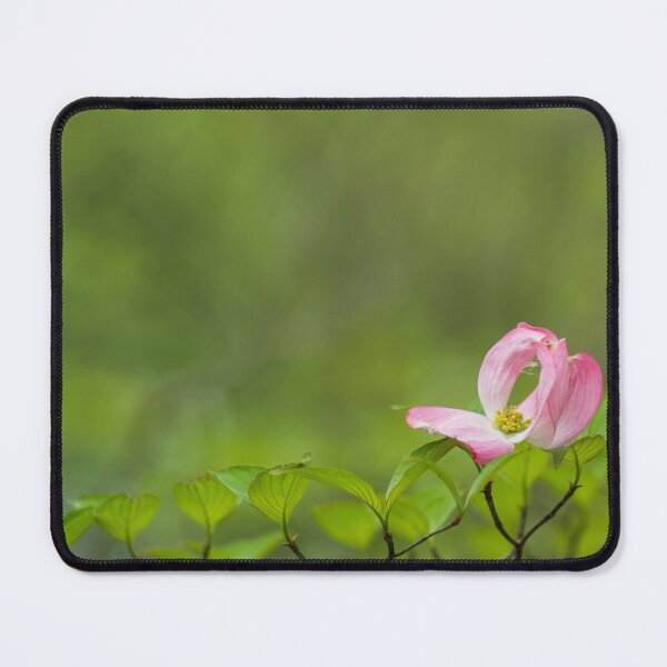 Item preview, Dogwood Embrace designed and sold by LizAlbroPhotos.