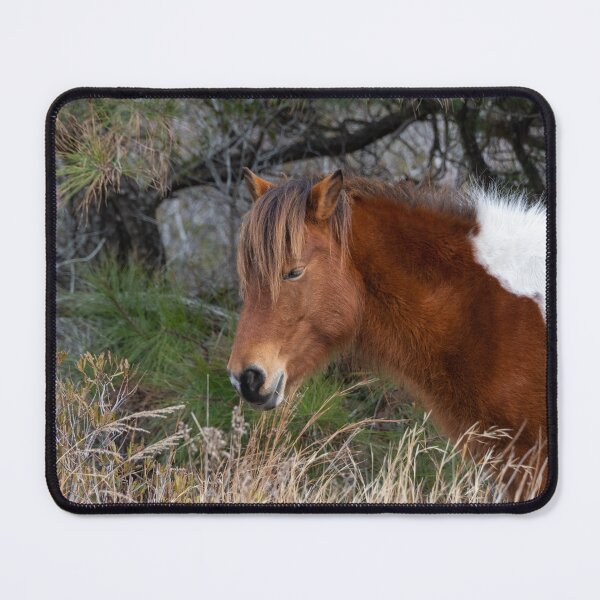 Item preview, Wild Horse on a Wintry Day designed and sold by LizAlbroPhotos.