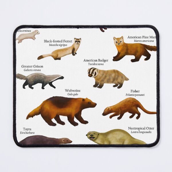 Item preview, Mustelids of North America (Weasels, Otters, Mink and More) - Poster designed and sold by clothingart8.