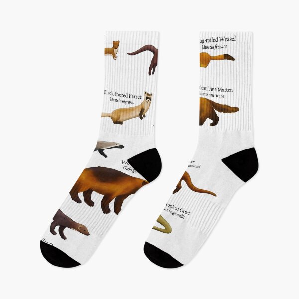 Item preview, Mustelids of North America (Weasels, Otters, Mink and More) - Poster designed and sold by clothingart8.