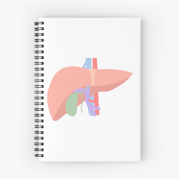 Item preview, Liver designed and sold by princesssomo21.