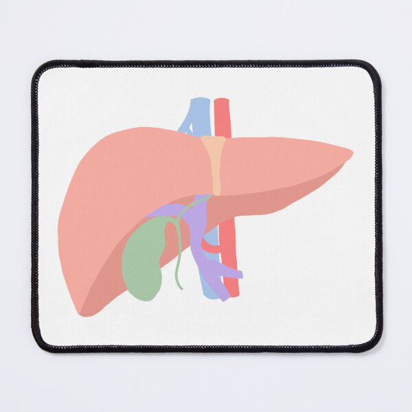 Item preview, Liver designed and sold by princesssomo21.