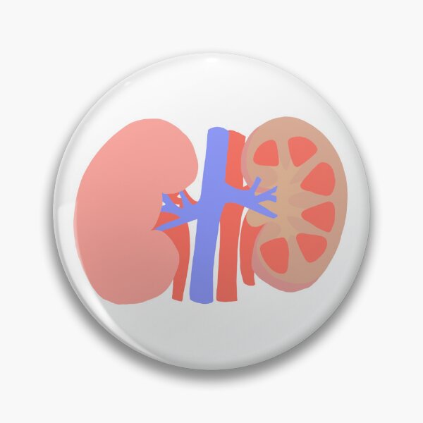 Item preview, Kidney designed and sold by princesssomo21.