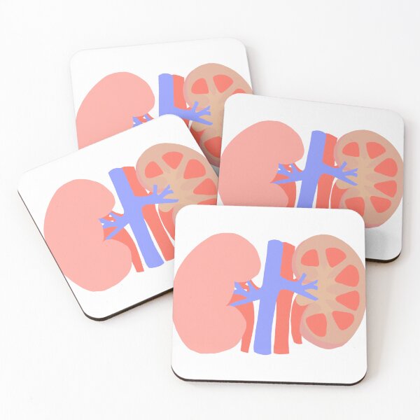 Item preview, Kidney designed and sold by princesssomo21.