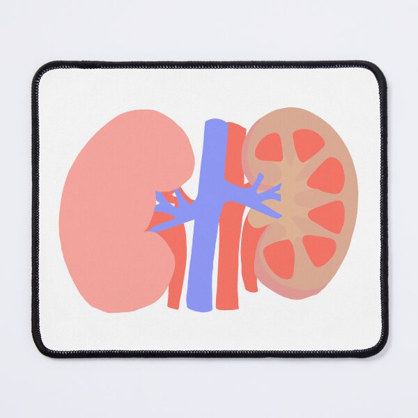 Item preview, Kidney designed and sold by princesssomo21.