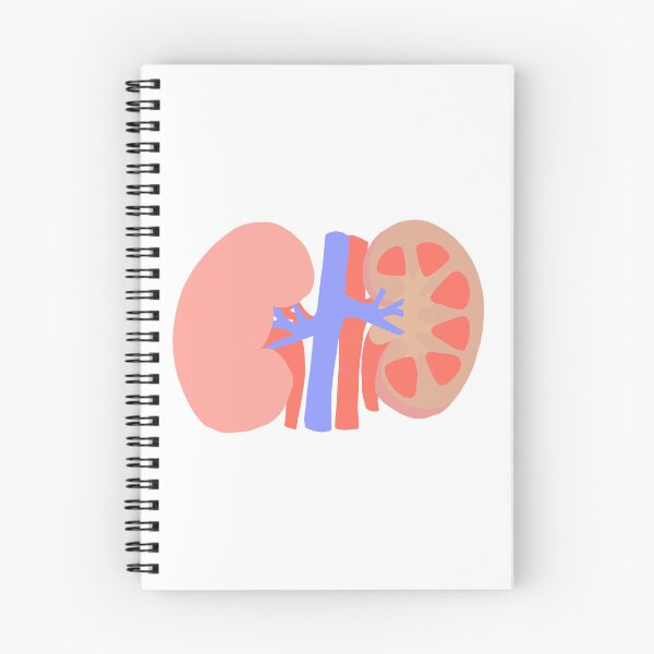 Item preview, Kidney designed and sold by princesssomo21.