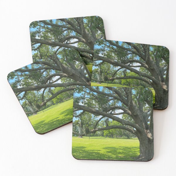 Item preview, Stately Trees at Jean Lafitte National Historical Park  Louisiana designed and sold by Debra Martz.