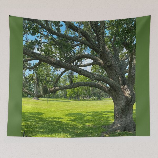 Item preview, Stately Trees at Jean Lafitte National Historical Park  Louisiana designed and sold by Debra Martz.