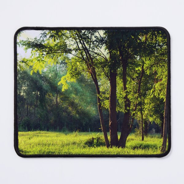 Item preview, Sunshine Through Trees designed and sold by Taceo10.