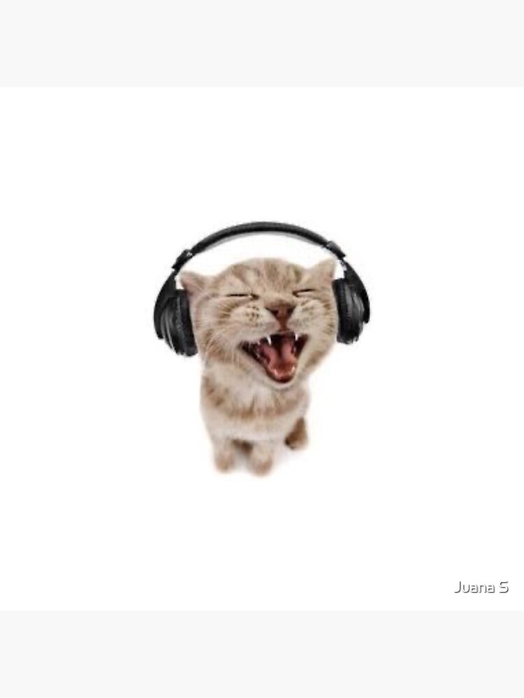 Kitten with headphones Pin by Juana S