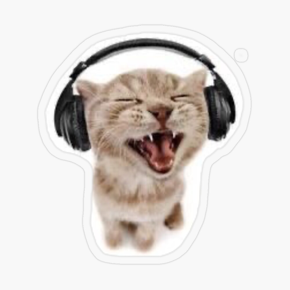 Kitten with headphones Pin by Juana S