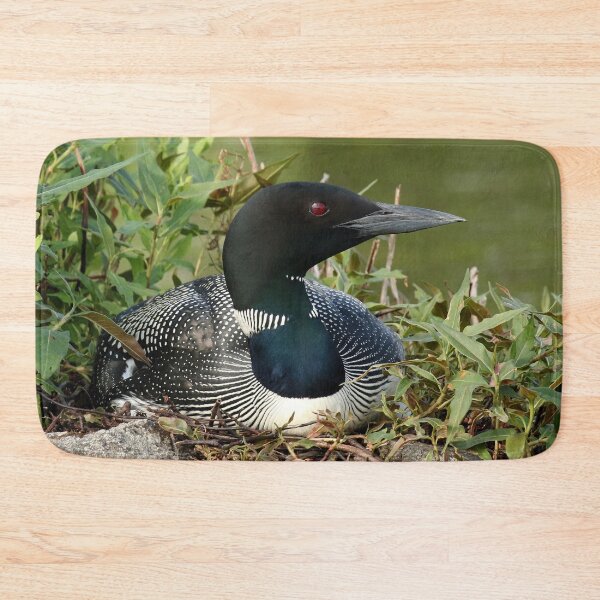 Item preview, Common loon on eggs designed and sold by Inlovewithloons.