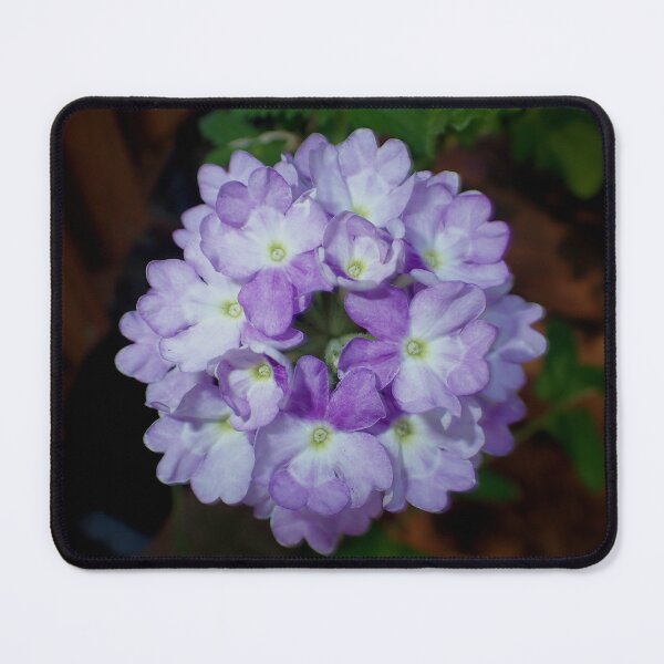 Item preview, Lavender Bloom designed and sold by Rebecca McGuire.