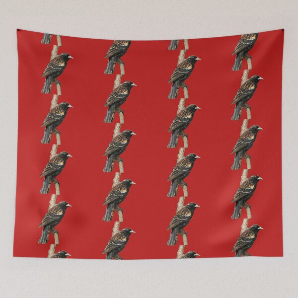 Item preview, Red Winged Blackbird without background in image-choose red to display on store front designed and sold by BirdsnStuff.