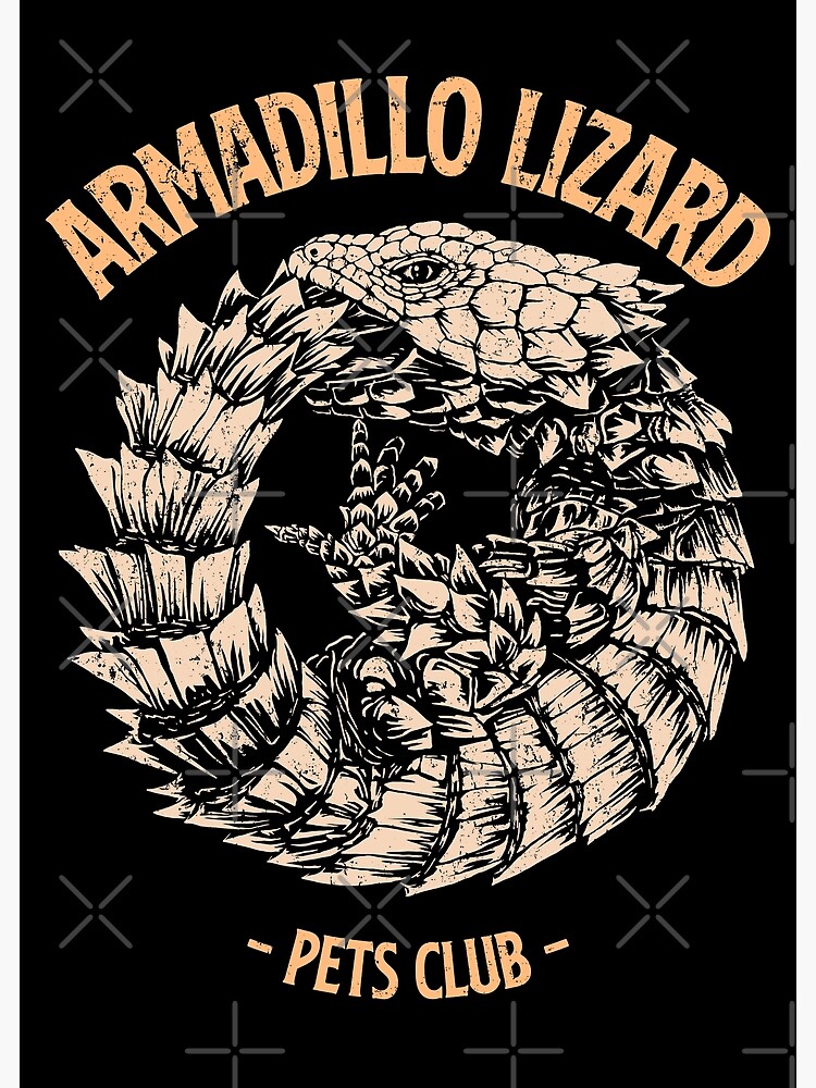"Armadillo Lizard Pets Club" Poster for Sale by NiceGame Redbubble